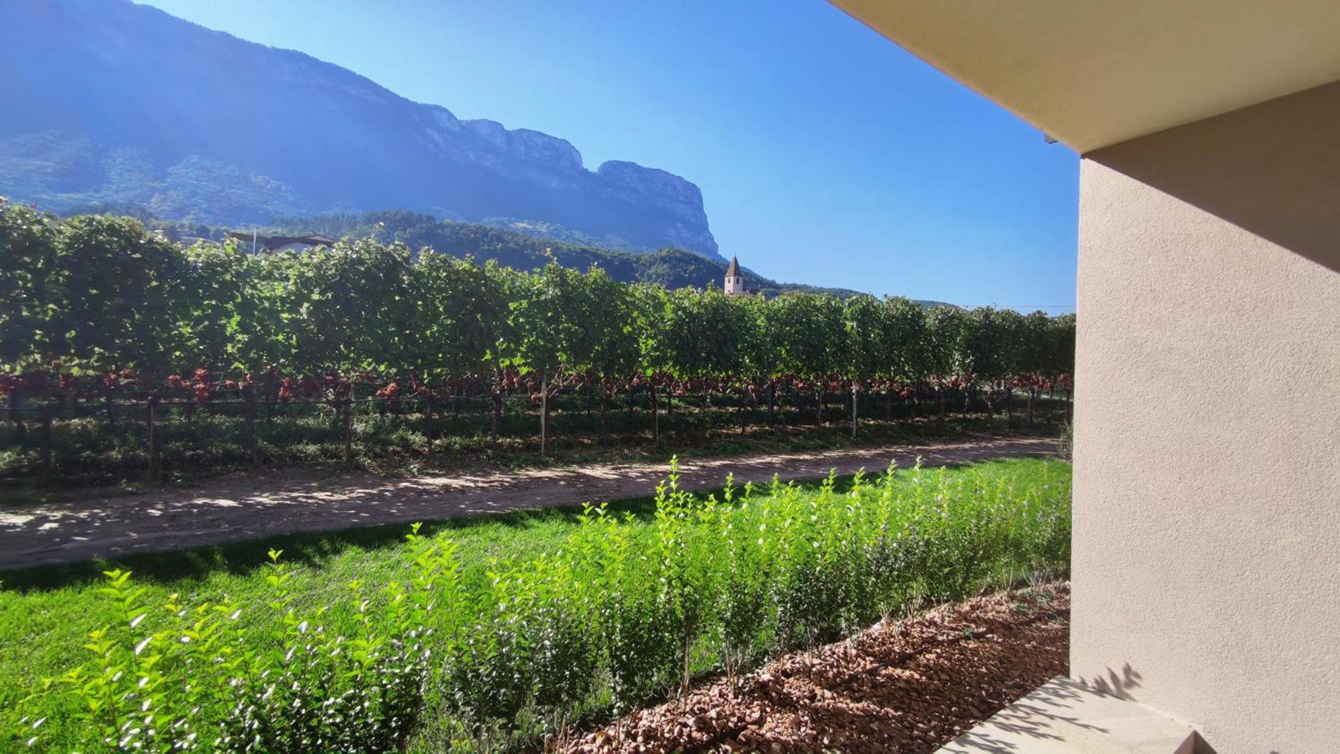 Highlight Apartments Appiano Sulla Strada Del Vino Room photo